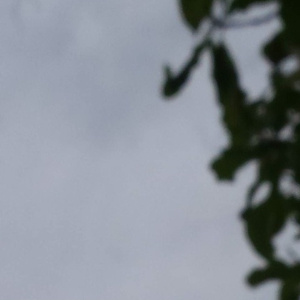 黃色A片三級三奶大
